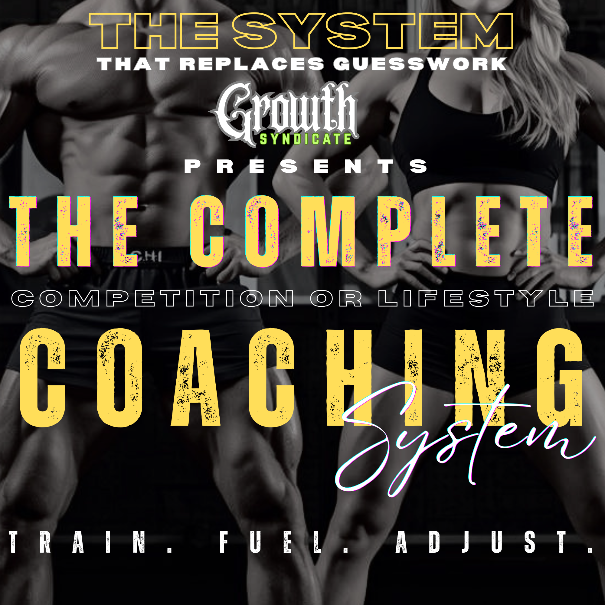 Self-Coaching System